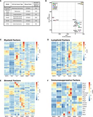 Dissecting tumor microenvironment heterogeneity in syngeneic mouse models: insights on cancer-associated fibroblast phenotypes shaped by infiltrating T cells